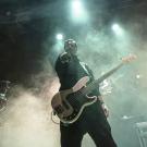 Siamese i Poolen - fotograf Joachim Vilstrup