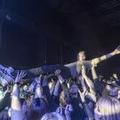 Siamese i Poolen - fotograf Joachim Vilstrup