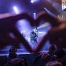 Siamese i Poolen - fotograf Joachim Vilstrup