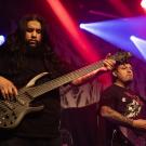 Life Cycles i Pumpehuset - Lykke Nielsen Photography