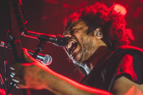 Z&amp;A af Rolf Meldgaard