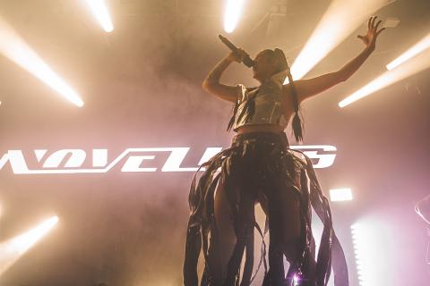 Novelist af Rolf Meldgaard