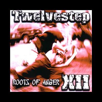 Twelvestep - Roots Of Anger XII