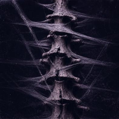 Odd Palace - Blood & Bones
