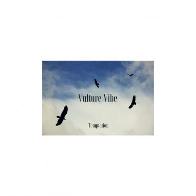 Vulture Vibe - Temptation