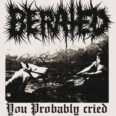 BERATED - YOU PROBABLY CRIED