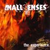 Inallsenses - The Experience