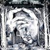 Woods of Ypres - Woods 5: Grey Skies & Electric Light