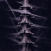 Odd Palace - Blood & Bones