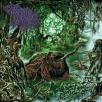 Frog Mallet - Consumed By Frogs