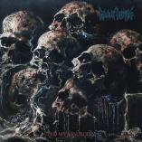 Dawn Of Demise - Feed My Absurdity