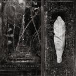 Wolves In The Throne Room - Estuary