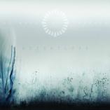 Animals as Leaders - Weightless