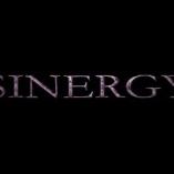 Sinergy