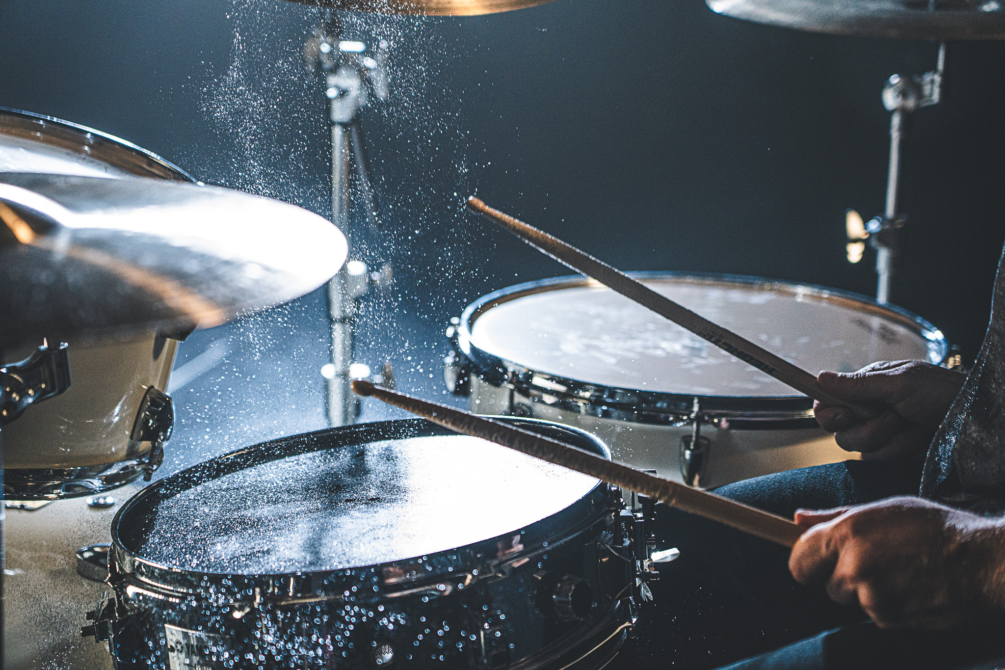 Møl af Rolf Meldgaard