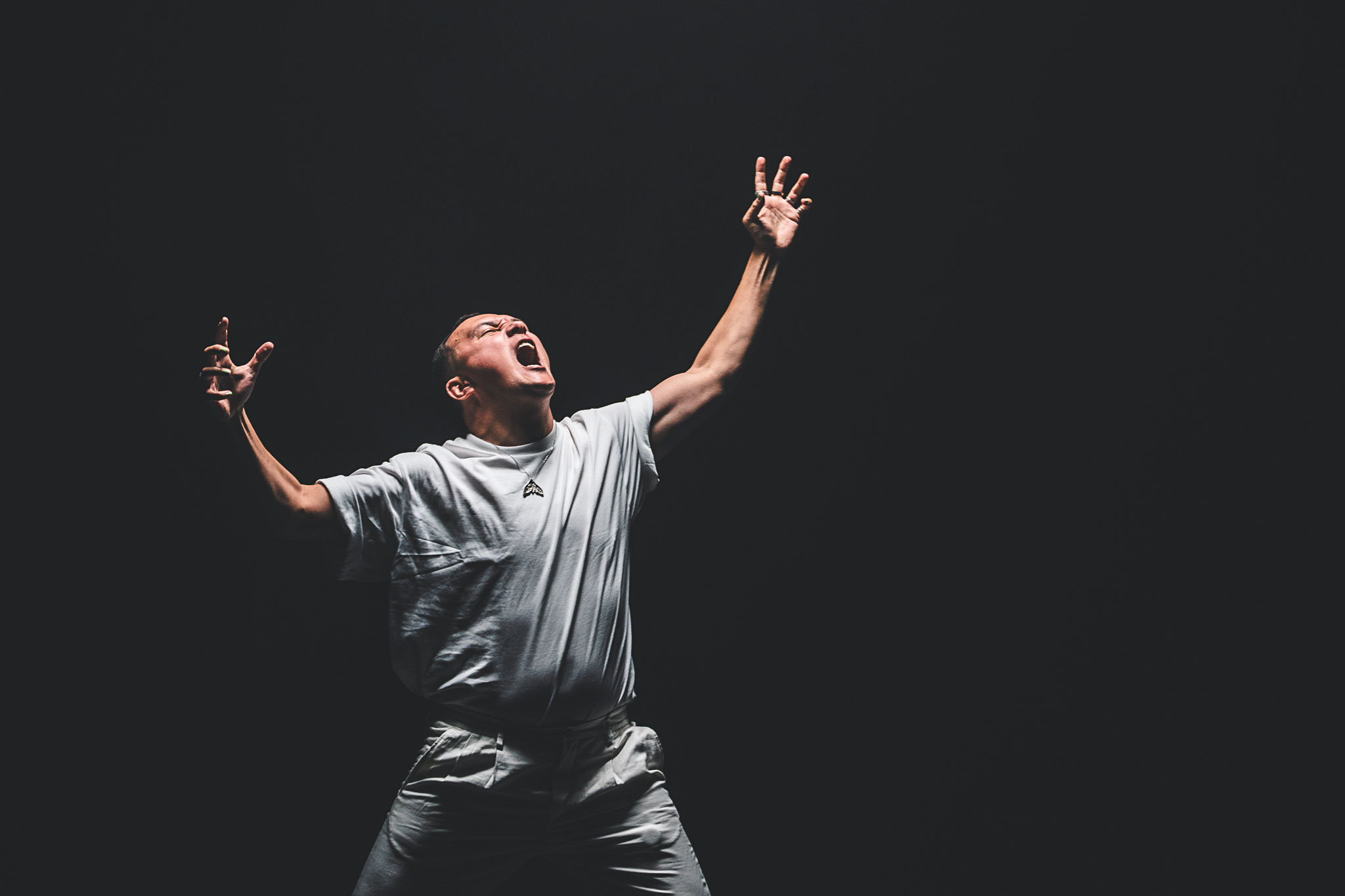 Møl af Rolf Meldgaard