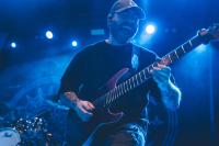 Billeder af Rolf Meldgaard