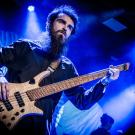 Danefae. Foto: Sebastian Dammark