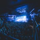 Karnivool af Rolf Meldgaard