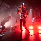 Karnivool af Rolf Meldgaard