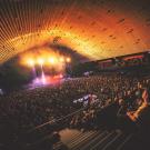 Whitechapel i KB Hallen - Bransholm Photography