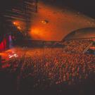 Whitechapel i KB Hallen - Bransholm Photography