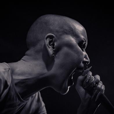 Krøyer - Hotel Cecil - 3. april 2026