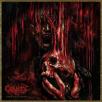 Carnifex - More than Misery