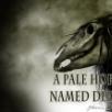Ny video fra amerikanske A Pale Horse Named Death