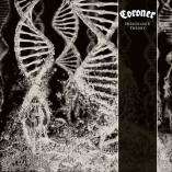 Coroner - Dissonance Theory