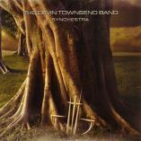 Devin Townsend - Synchestra