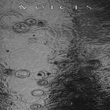 Voices - From The Human Forest Create A Fuge Of Imaginary Rain