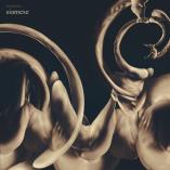 Siamese - dissolution