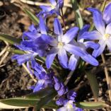 DødogØdelæggelse på samlebånd. Motherfuckingfuckerss billede