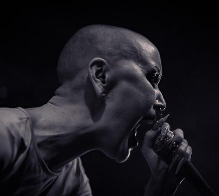 Krøyer. Arkivfoto: Rolf Meldgaard