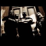 Grave nummer til download