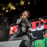 Zulu af Christian Larsen