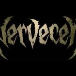 Nervecell