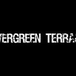 Evergreen Terrace