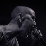 Krøyer. Arkivfoto: Rolf Meldgaard